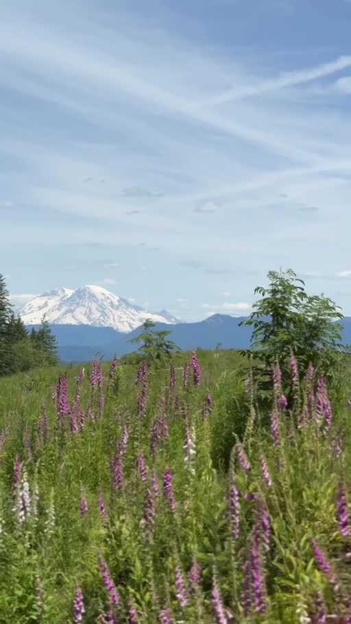Gifford Pinchot Rally — August 3 to 5, 2027 - Wolf Pack Overland