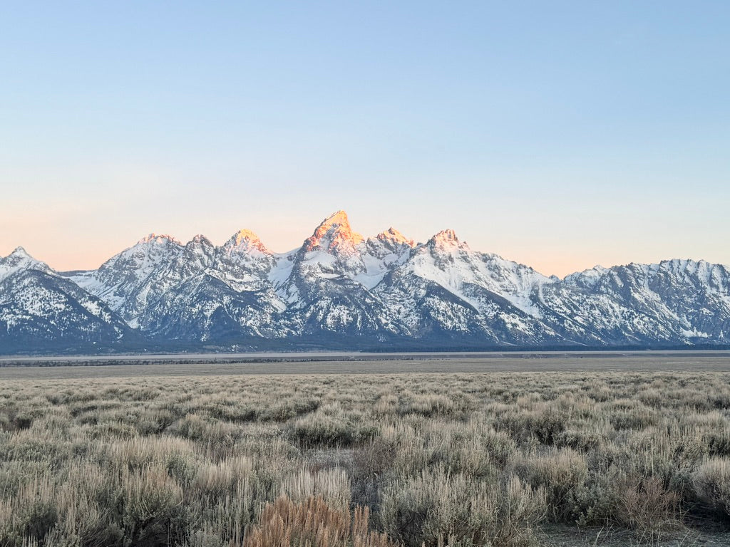 Wolf Pack Overland travel and shop photography