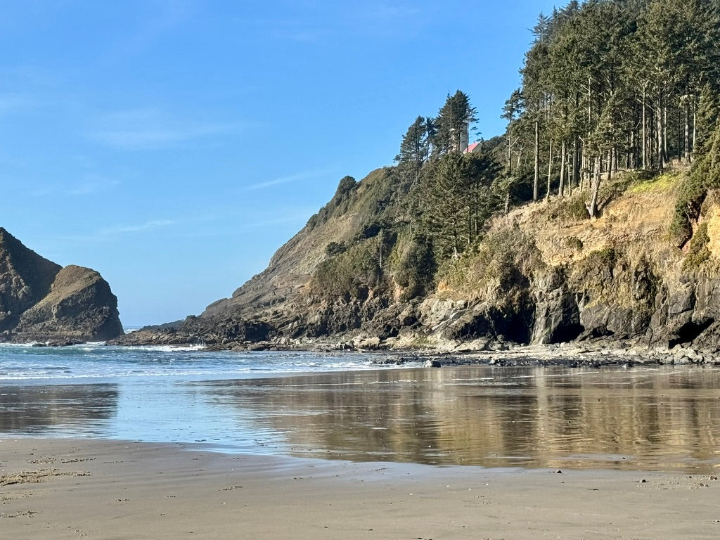 Oregon coast at Heceta Head, with ocean waves, sandy beach and forested cliffs