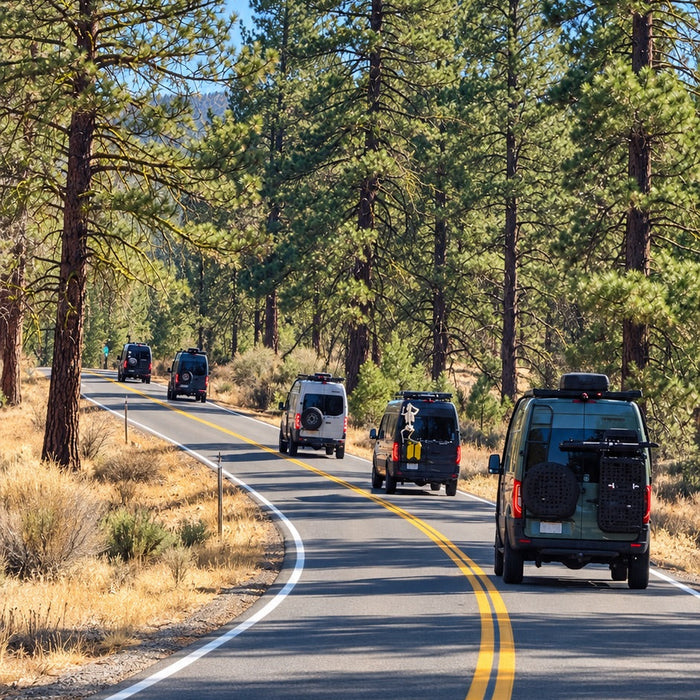 wolf pack rally pines to palms heading to ocotillo on the rocks