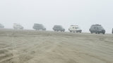 sprinter vans on a beach in washington with wolf pack overland