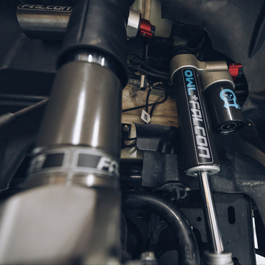 owl falcon suspension