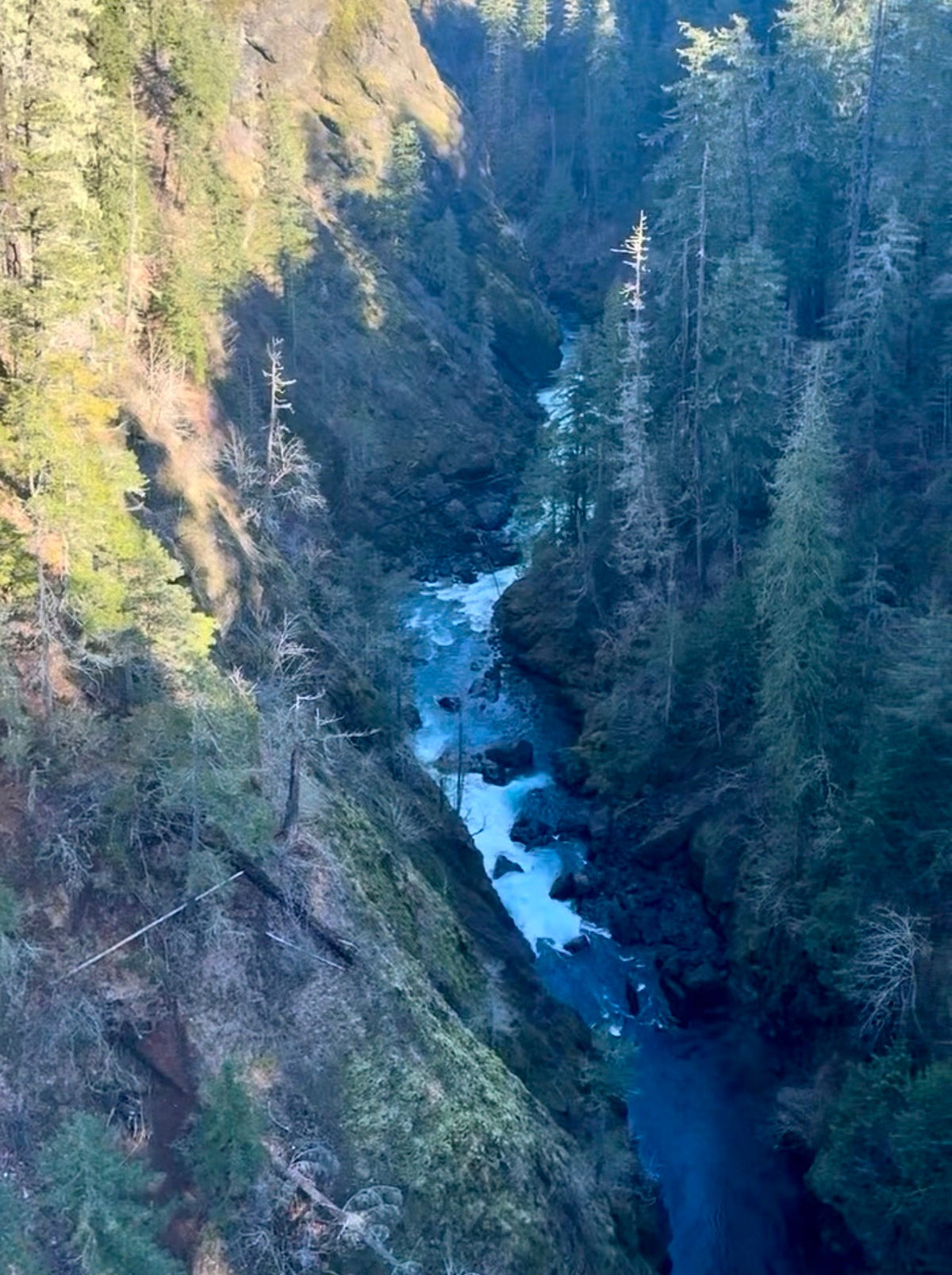 Olympic Peninsula Sprinter Meetup - Wolf Pack Overland