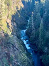 Olympic Peninsula Sprinter Meetup - Wolf Pack Overland