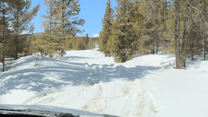 Alaska Bound 2027 — February 27 to 28, 2027 - Wolf Pack Overland